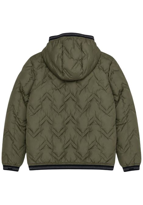 Giubbino bambino verde imbottito BLAUER | PIERVERDE